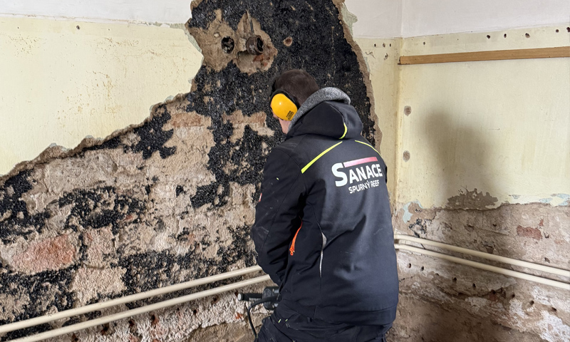 Likvidace plísně v domě